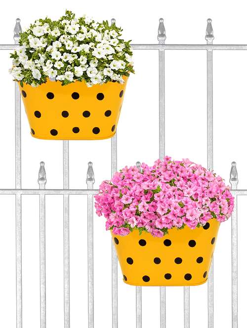 oval hanging dotted railing planters (set of 2) - 16786329 - Very Small Image - 1