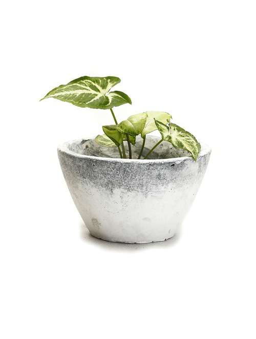 conical design frosted finish stone bowl with grey accents - 10958420 - Very Small Image - 1
